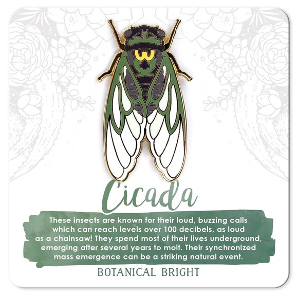 Botanical Bright Jewelry - Cicada Enamel Pin - Gold Plated‎ Nature Jewelry - Garden, Insect, & Bug Brooch